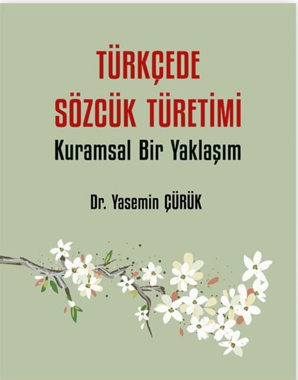 Türk Dili ve Edebiyatı Bölümünden Dr. Öğr. Üyesi Yasemin Çürük’ün Bilimsel Kitabı Yayımlandı